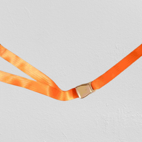 Lifeboat Seat Belt